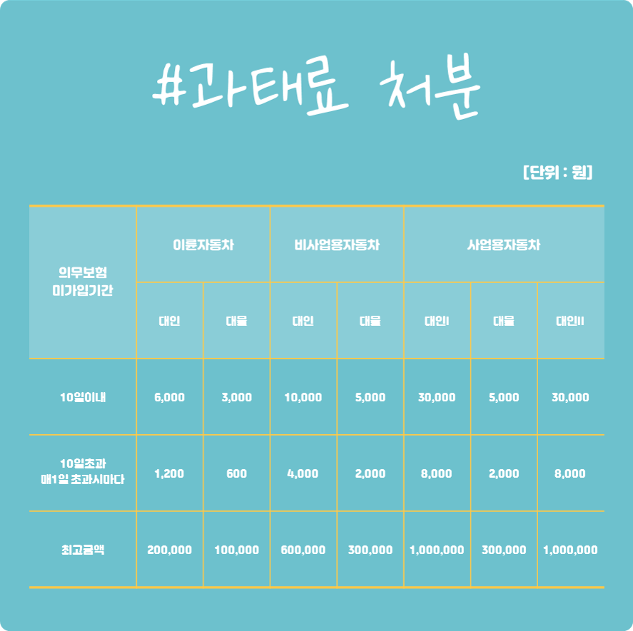 의무보험 과태료 처분