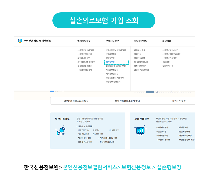 실손 의료보험 가입 조회 [출처 : 크레딧포유 홈페이지]