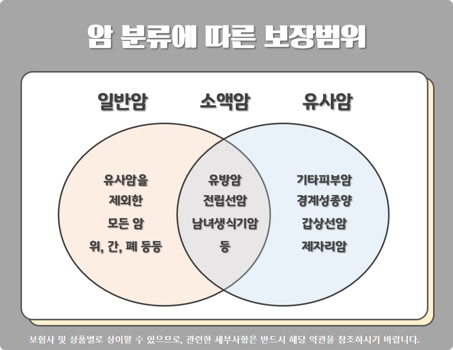 암 분류에 따른 보장범위