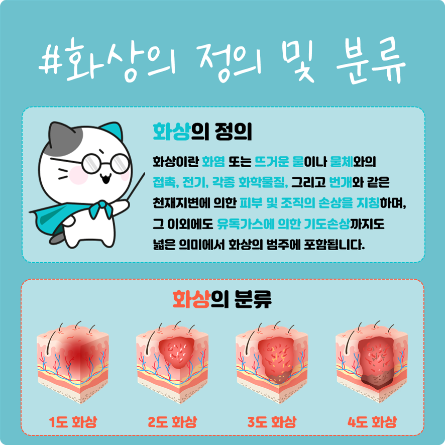 #화상의 정의 및 분류