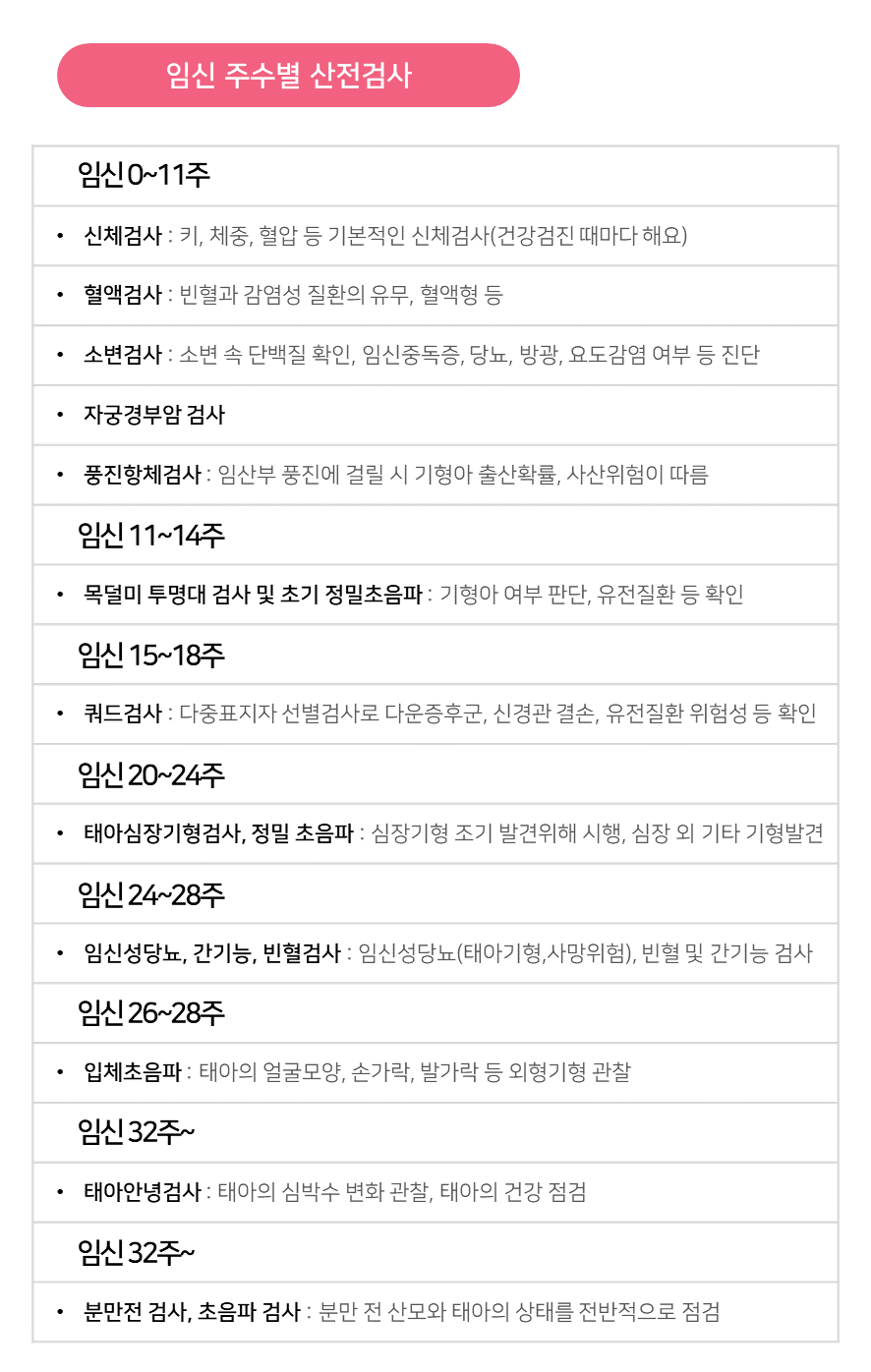 임신 주수별 산전검사 [출처 : 청담마리산부인과 공식 블로그]