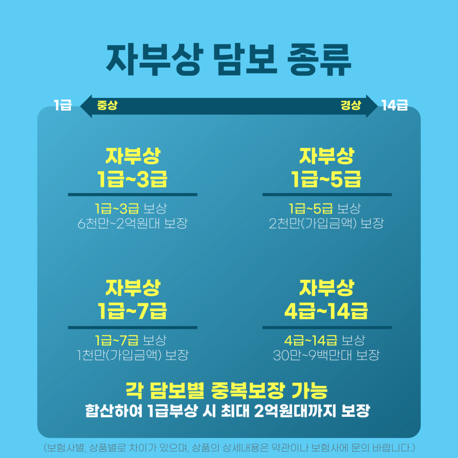 #운전자보험 자부상 담보 종류