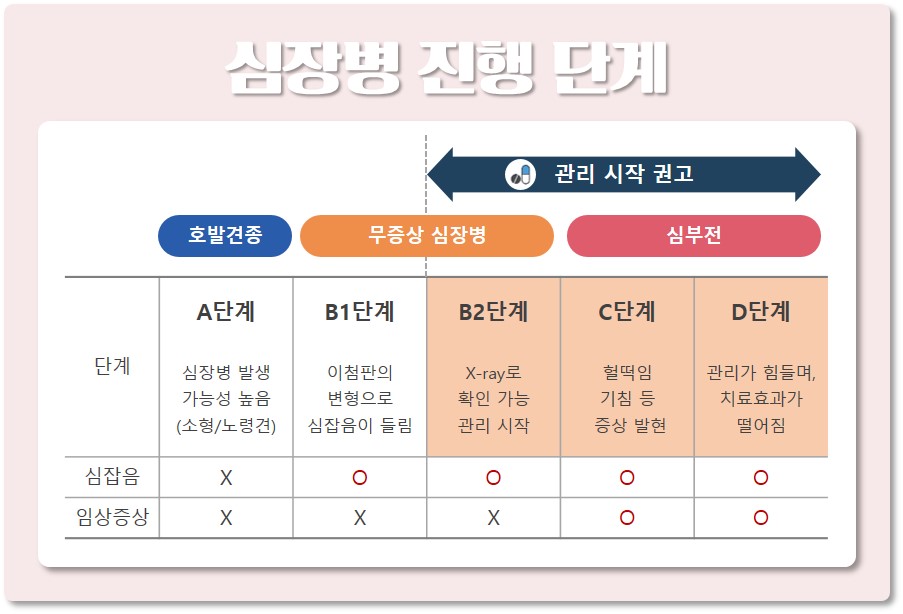 심장병 진행단계 [출처 : 한국수의심장협회 홈페이지]