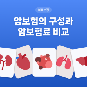 암보험료 구성과 암보험료 비교